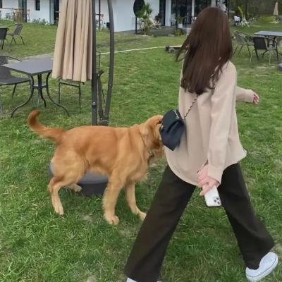 红日